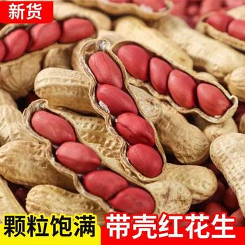 New Arrival of Four Thin-Skinned Raw Peanuts in Red Belt Shells, Fresh Original Flavor, Sun-Dried Farm-Grown Peanuts and Grains