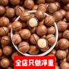 Macadamia Nut Milk, Creamy New Arrival, Healthy Pregnancy Dried Nuts, Largest Fruit Macadamia Nuts