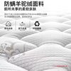 Hong Kong's Top Ten Economical Soft and Hard Mattresses for Kidsren, 20cm Thick, Household Independent Spring Latex Coconut Palm Rental