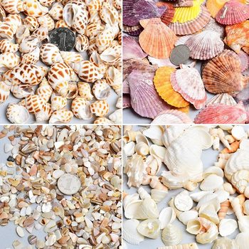 Natural Shells, Conch, Starfish, Fish Tank Landscaping, Handmade DIY Materials, Photo Frames, Wind Chimes, Drift Bottles, Decorative Small Gifts