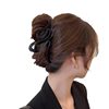 Large Hair Clip for the Back of the Head, Shark Clip Hair Accessory, High-End Half-Up Hair Tie for Women, Wholesale from Manufacturer, Large Quantity