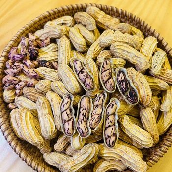 Yunnan High-End Fruit Colorful Peanuts Sun-Dried Shelled Fresh Peanuts Black Peanuts Authentic Colorful Peanuts