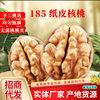 Wholesale Xinjiang 185 Paper-Skinned Walnuts 500g, New Original Color and Flavor, Aksu Bulk, Ready to Eat