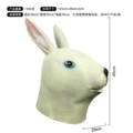 Rabbit head