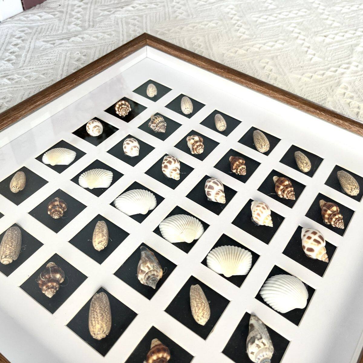 Three-Dimensional Hollow Photo Frame Seaside Shell Conch DIY Specimen Dried Flower Table Creative Handmade Gift Commemorative Photo Frame