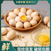 Fresh Farm-Raised Free-Range Eggs, Natural Eggs, Free-Range Eggs, Freshly Picked Eggs, Rice Husk Packaging