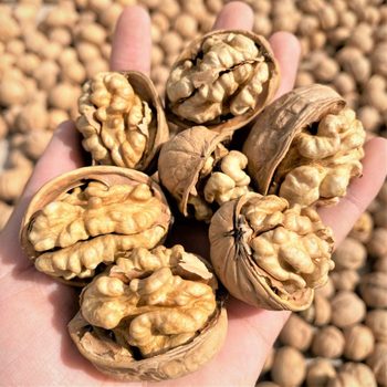 New Xinjiang Specialty Aksu 185 Paper-Skinned Walnut Gift Box for Pregnant Women and Kidsren 2.5kg /20 Pounds 185 Paper-Skinned Walnut