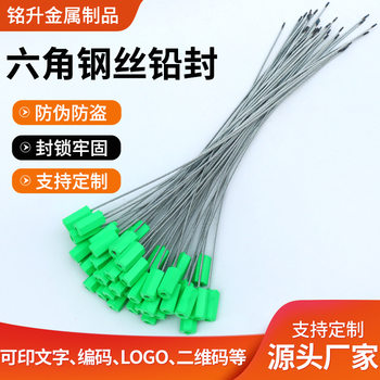 Steel Wire Seal Strip Tie for Container Logistics, Oil Tank Truck, Water and Electricity Installation, Tightening Type Hexagonal Steel Wire Seal