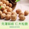 December Harvest Baicaowei Paper-Wrapped Walnuts 128g Nut Snack Xinjiang Delicious New Product Thin-Skinned Pecan Original Flavor