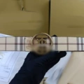 Fabric pattern circle tb copper buckle