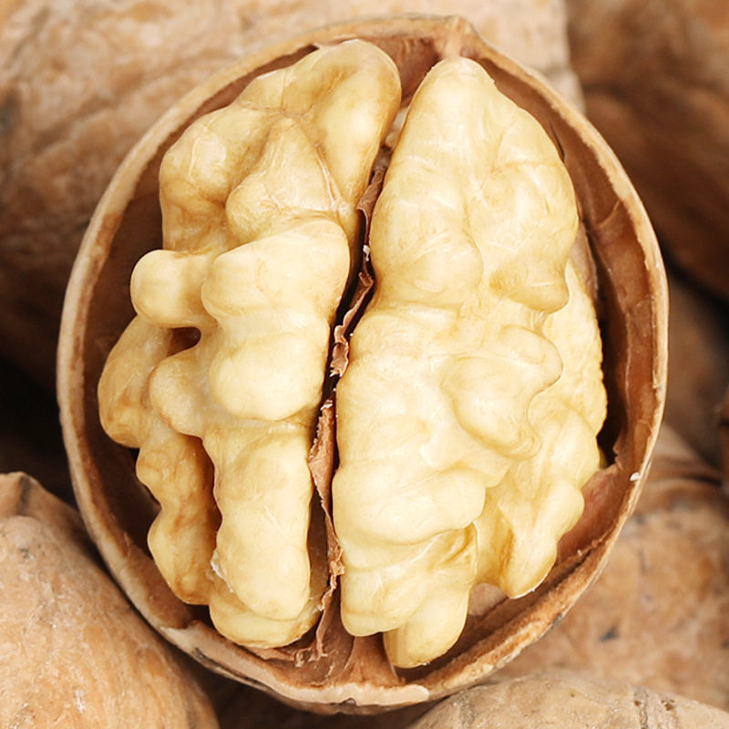 Unwashed Xinjiang 185 Original Color Paper-Skinned Walnut Snacks Dry Goods New Wholesale Original Aksu Raw Walnuts