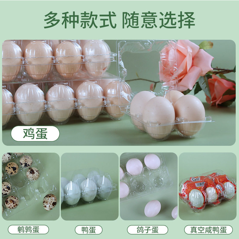 Plastic Transparent Egg Tray Medium Size Various Specifications Disposable Egg Packaging Box Direct Selling Duck Egg Tray