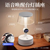 Intelligent voice control bedroom desk lamp bedside lamp plug-in desktop bedside table socket nightlight light luxury high sense