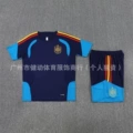 Spanish royal blue