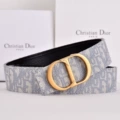 Gold buckle ribbon