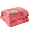Single and Double Thickened Air-Conditioned Blankets for Student Dormitories, Four-Season Blankets, Bed Sheetss, Cute Home Blankets to Keep Warm in Winter