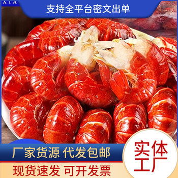Large Crayfish Tail Net Weight No Ice Coat Fresh Lobster Tail Frozen Shrimp Balls Fresh Frozen Fresh Shrimp Seafood Wholesale