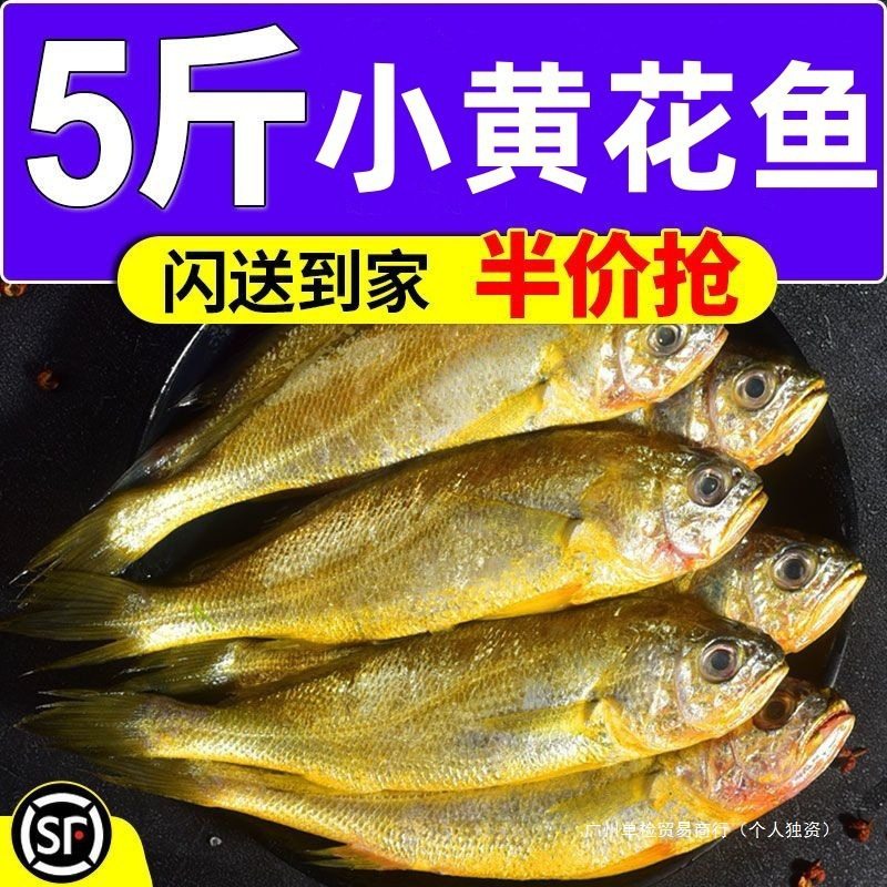 [Active] Wild Small Yellow Croaker, Fresh Sea-Caught Frozen Large and Small Yellow Croaker, Deep-Sea Fish, Fresh Seafood and Aquatic Products