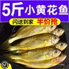 [Active] Wild Small Yellow Croaker, Fresh Sea-Caught Frozen Large and Small Yellow Croaker, Deep-Sea Fish, Fresh Seafood and Aquatic Products