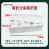 Epe Pearl Cotton Sea Duck Egg Tray 10 Salted Duck Eggs Pine Flower Egg Express Packaging Special Foam Egg Tray Manufacturer