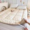 Class a Maternal and Infant-Grade Xinjiang Cotton Mattress Tatami Bed Pad Single/Double Bed Base Student Dormitory Warm Mattress
