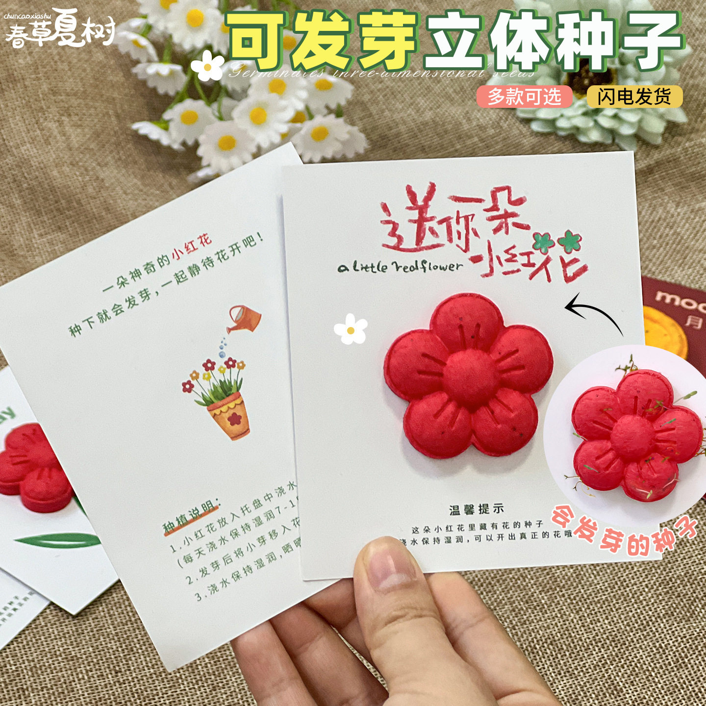 立体种子纸现货可定制种植种子发芽纸卡片节日商务活动伴手小礼物| MoveOn | Connecting Cross-Border Trade