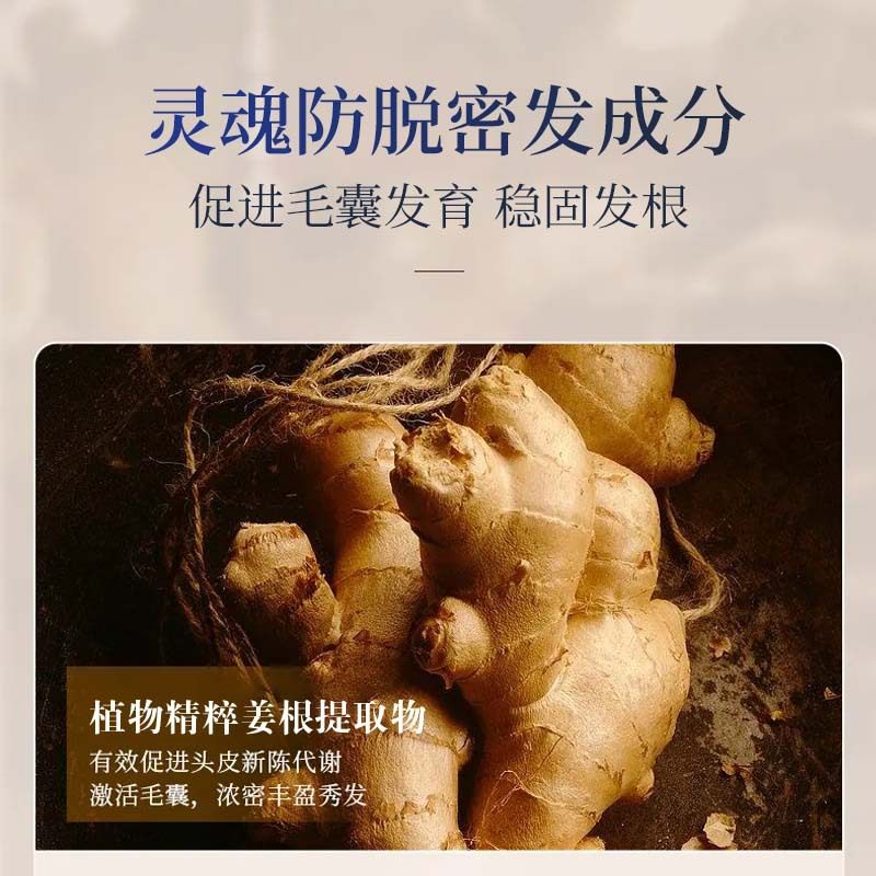 Tiktok same popular ginger anti-removal shampoo oil control fluffy shampoo anti-hair loss shampoo in stock wholesale