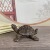 № 5 имеет длину около 5,9 см, ширину около 5,2 см, высоту около 3,2 см и весит около 156 граммов.
