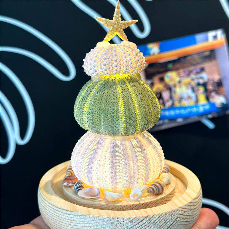 New Year and Spring Festival Ornaments Shell DIY Sea Urchin Shell Luminous Night Light Material Package Birthday Gift for Girlfriend Conch