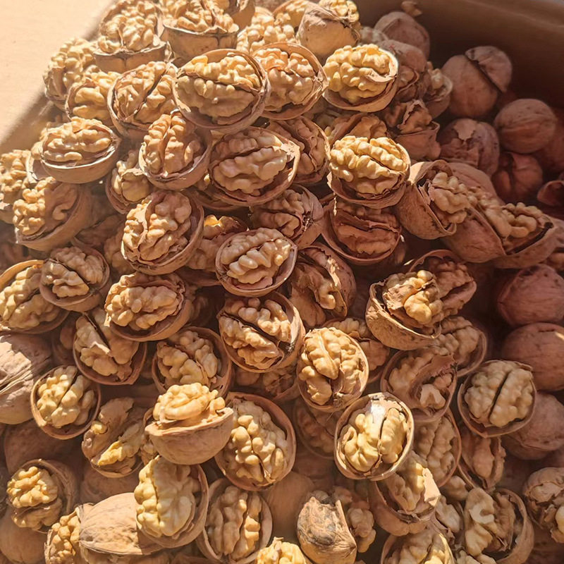 Xinjiang 185 Paper-Skinned Walnuts 500G/Bag Original Flavor Aksu Hand-Peeled Thin-Skinned Open-Shell Raw Large Walnuts Wholesale and Delivery