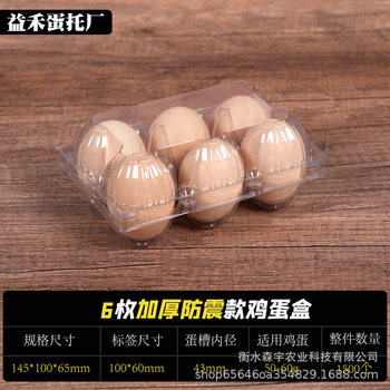 6 Medium-Sized Thickeneded Bubble Wrap Disposable Plastic Egg Trays, Firewood Egg Trays, Packaging Gift Boxes, Factory Direct Sales