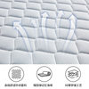 Sleep Beauty Mattress Coconut Palm Mat 1.5m Children's Lumbar Support Simmons Homestay Apartment Hotel Custom Home Mattress