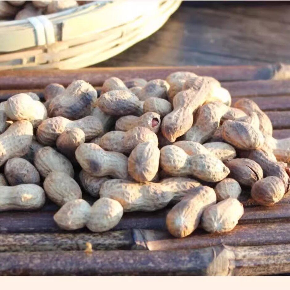 Farmhouse Iron Pan Roasted Peanuts with Shells, Original Flavor, Firewood Roasted Melon Seeds, Peanuts, Snacks, Leisure Food