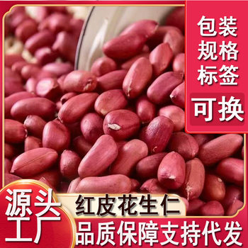 New Arrival Red-Skinned Peanuts, Fresh Shandong Original Peanuts, Shelled Roasted Red-Skinned Peanuts, Sun-Dried Four Red Roasted Seeds