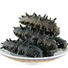 Dalian light dried sea cucumber deep sea bottom sowing high sea cucumber non-instant sea cucumber dry goods gift box sea cucumber 50g sea cucumber sea cucumber