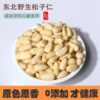 Pine Nuts Genuine Nuts Shelled Pine Nuts Original Snacks Pine Nuts Kidsren's Dried Fruit Pine Nuts