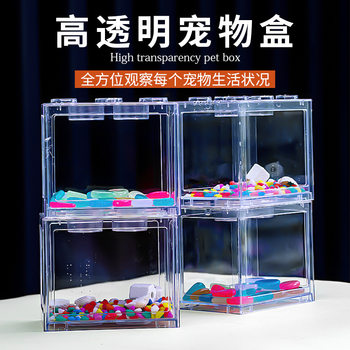 Online celebrity Thailand building block bucket fish tank jellyfish Cup desktop aquarium pet box golden fish tank small landscape bucket fish box