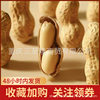 LaoJieKou Peanut Milk Flavor Garlic Peanut Nuts Fried New Year Products Fried Peanut Snacks Wholesale with Shells