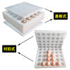 Egg holder egg packing box epe Pearl cotton pigeon turtle duck egg packing box goose egg holder packing box Express