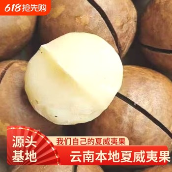 Yunnan Macadamia Nut Creamy Dried Nuts New Bulk Snacks Whole Box Wholesale Original Milk-Flavored Nuts