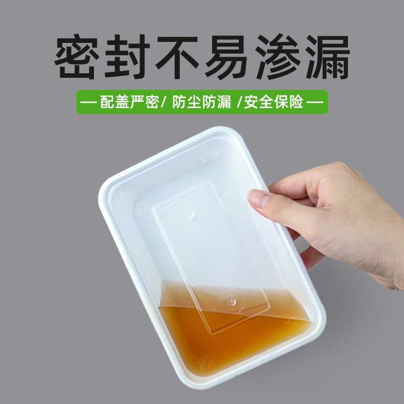 Disposable Lunch Box Customized Take-Out Packaging Box Fruit Preservation Rectangular Plastic Lunch Box Food Grade Lunch Box with Lid