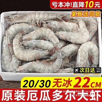 Ecuadorian White Shrimp Fresh Quick-Frozen Salted Frozen 2030 South American White Shrimp Base Shrimp Sea Shrimp Prawns Seafood