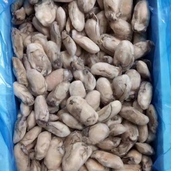 Frozen Oyster Meat Oyster Meat 5kg / Box Shelled Oyster Meat Small Oyster Meat