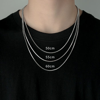Accessories Snake Bone Chain Necklace Men's Trendy Niche Trendy Brand Thin Men's All-match Titanium Steel Neck Boys Collarbone Chain Chain