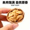 New Roasted Walnuts, Herbal Walnuts, Xinjiang Paper-Skinned Nuts, Milky Walnuts, Casual Snacks, Hand-Peeled Roasted Walnuts