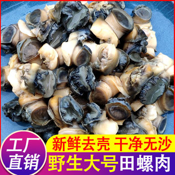 [Price Can Be Discussed for Large Quantities] Fresh Frozen Snail Meat, Extra Large Snail Meat, Shelled, Washed and Sand-Free Snail Meat
