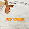 Bulk Granulated Sugar Baking Ingredients Sugar Seasoning Sugar Ultra-Fine Various Specifications High-Quality Wholesale