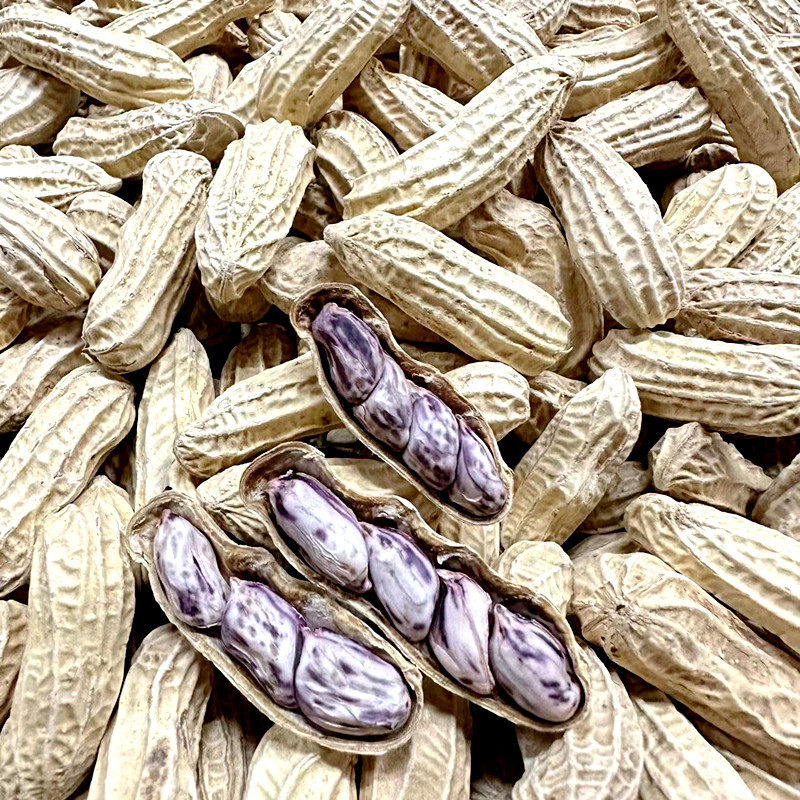 Guanhua colorful salted dried peanuts salty crispy cooked peanuts nuts fried snacks