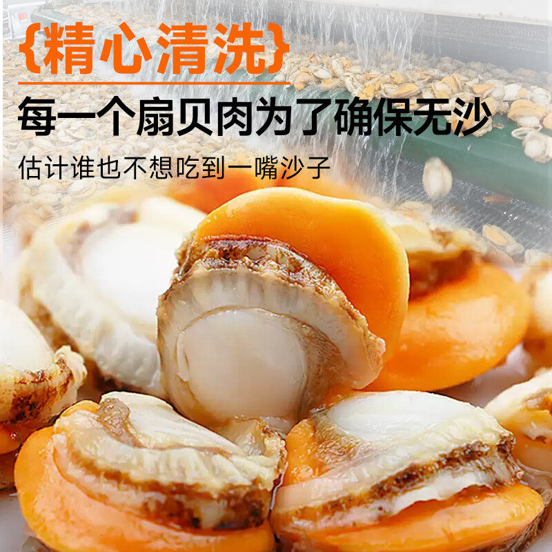 Ice-Free Extra Large Scallop Meat Scallop Meat with Yellow Fresh Quick-Frozen Scallop Meat Commercial Wholesale Custom-Made Oem Delivery