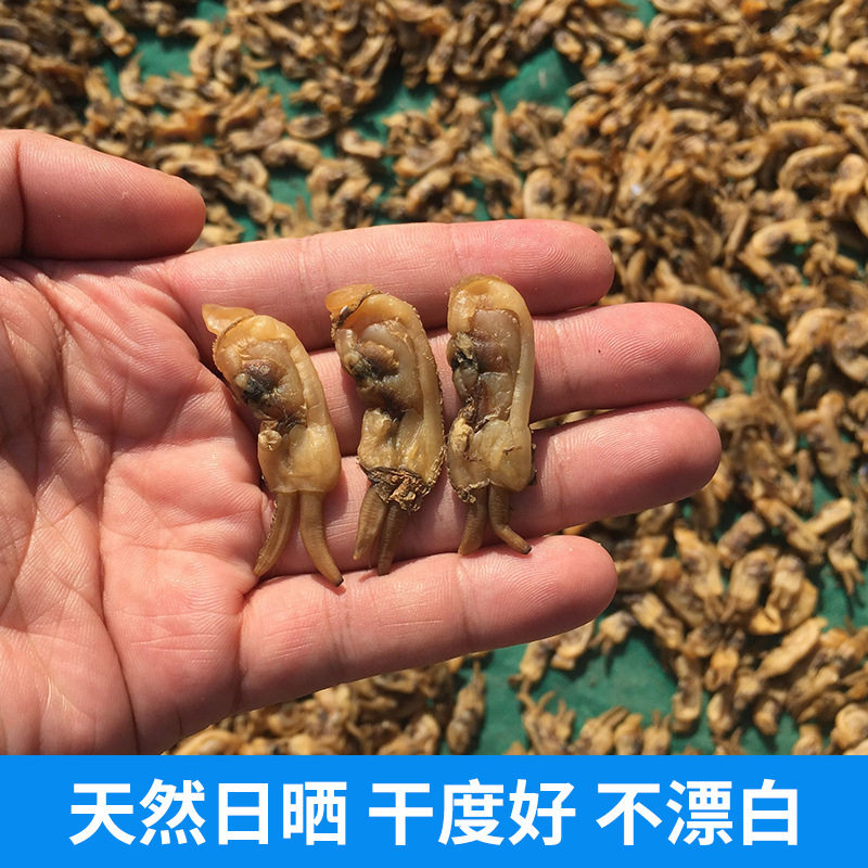 Selected Sand-Free Dried Razor Clams 500g Fujian Specialty Sea Razor Clam Meat Jerky Fresh Seafood Dry Goods Soup Stir-Fry X Aquatic Products